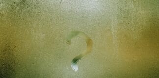 Co napędza zakupy pokolenia Alfa w grach i metaverse