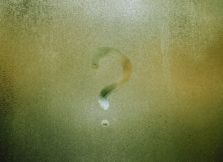 Co napędza zakupy pokolenia Alfa w grach i metaverse