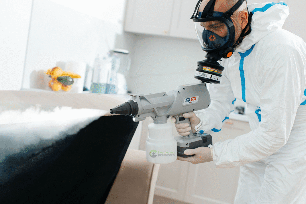 Deratyzacja Dezynsekcja Dezynfekcja (Usługi DDD)